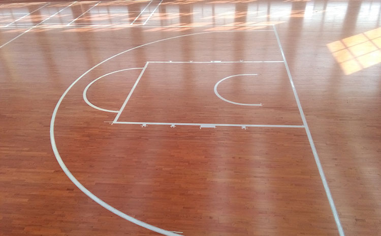 籃球館運動木地板白蟻害處有多大？
