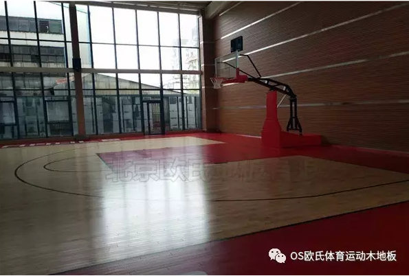 泉州盛榮集團(tuán)籃球館地板效果圖4 泉州盛榮集團(tuán)籃球館地板效果圖4
