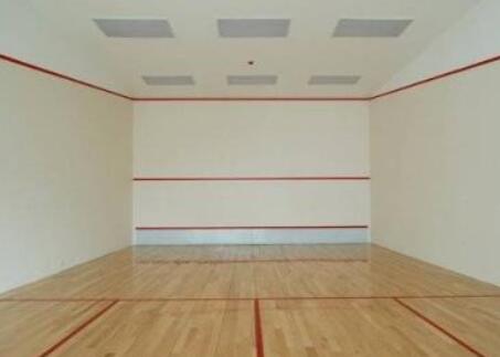  建個壁球館的價格是多少？