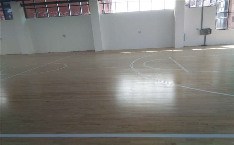 516.jpg 516.jpg